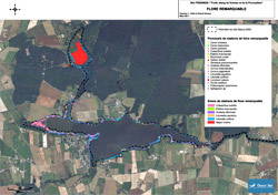 Carte localisation de la Flore remarcable sur Vioreau