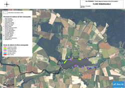 Carte de la Flore remarcable sur la Provostière